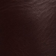 женские-ботинки-frye-womens-kendall-sfg-chukka-boot-11